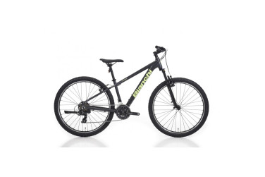 Bianchi Magma 27.4 27.5 Jant Dağ Bisikleti (Koyu Gri-Yeşil)