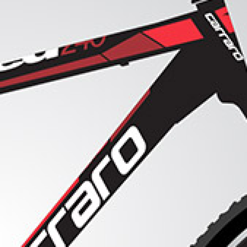 Carraro Speed 240 24 Jant V Fren Dağ Bisikleti (Mat Siyah-Kırmızı)