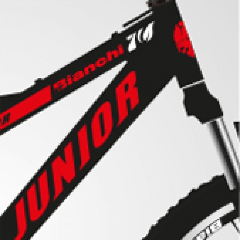 Bianchi Junior 24 Jant Dağ Bisikleti (Siyah Kırmızı Beyaz)