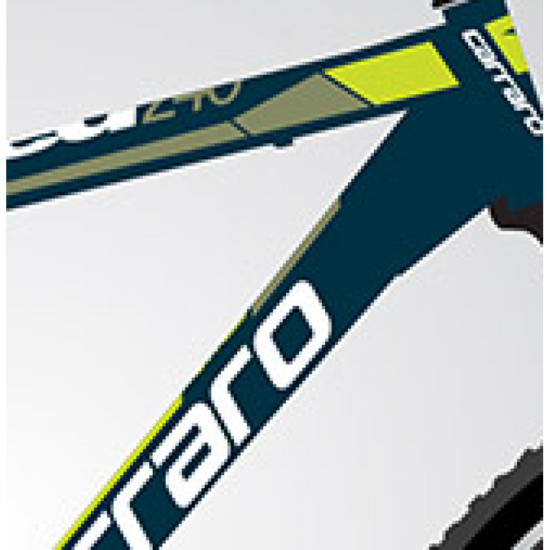 Carraro Speed 240 24 Jant V Fren Dağ Bisikleti (Deniz Yeşili-Lime Yeşil-Beyaz)