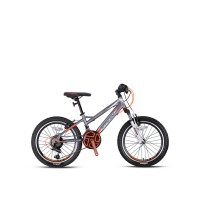 Kron Vortex 4.0 24 Jant V-Fren Dağ Bisikleti (Mat Füme-Neon Turuncu-Gri)