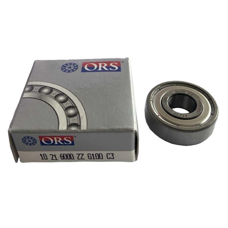 RULMAN ORS 6000 - ZZ